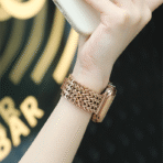 Unique Fashion Metal Mesh Woven Apple Watch Band