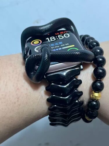 Metal Spine Apple Watch Band – Stainless Steel Luxury Upgrade | 20% OFF Today photo review